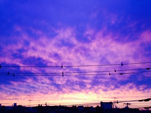 紫の空