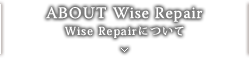 Wise Repairについて